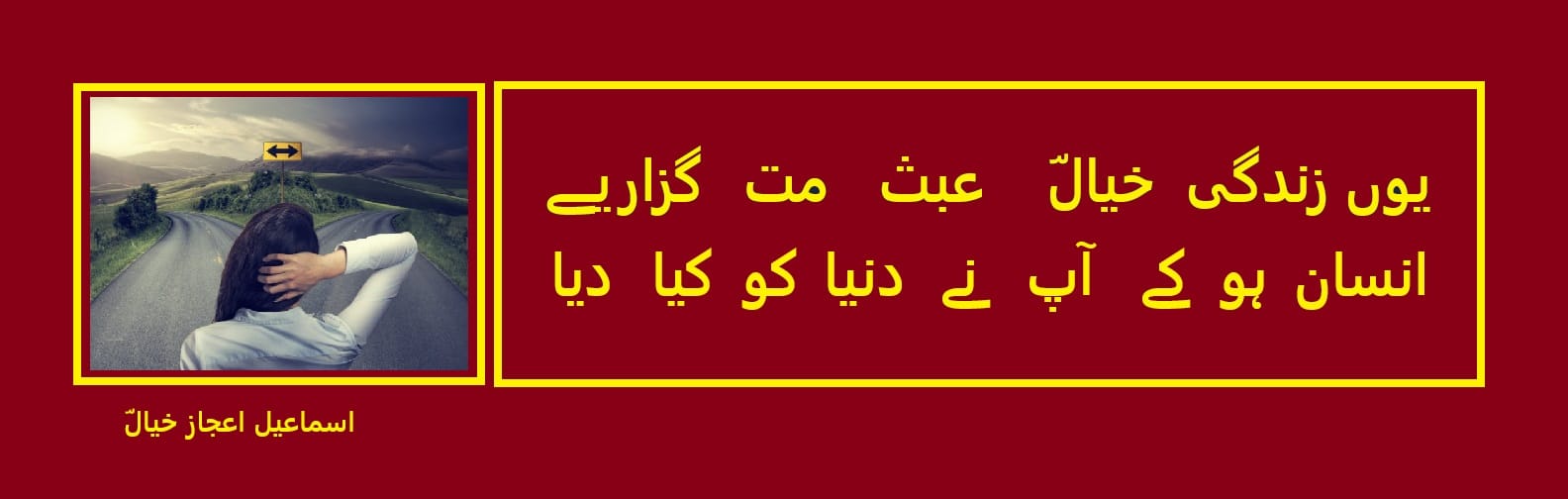 انسان ہو کے آپ نے دنیا کو کیا دیا.jpg