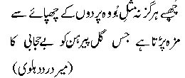parda.jpg