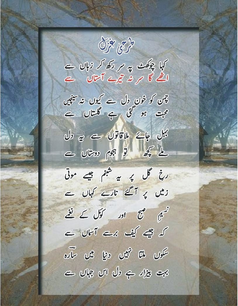 saara_jabeeN.jpg