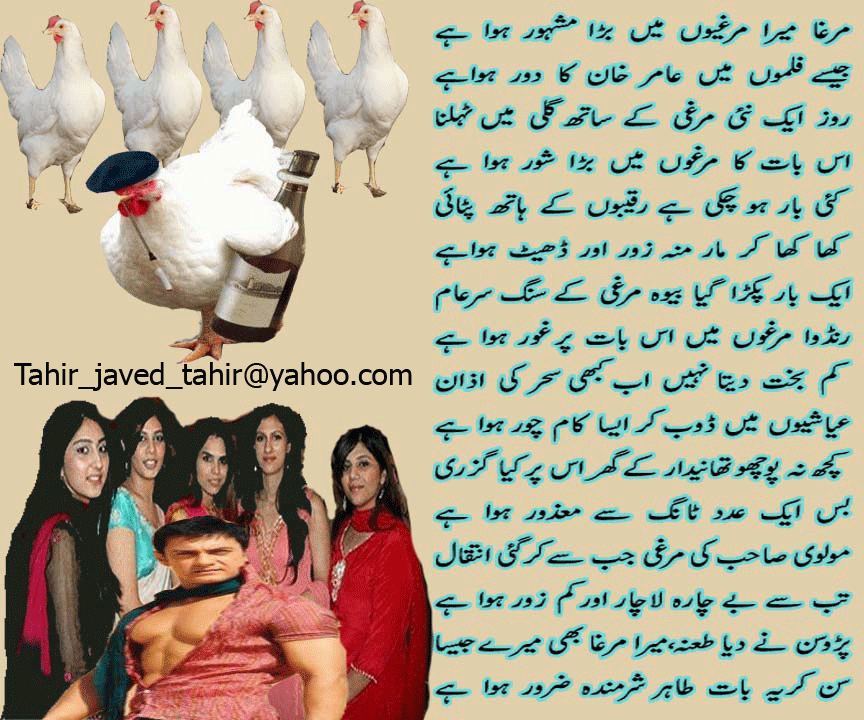tharki_murga.gif