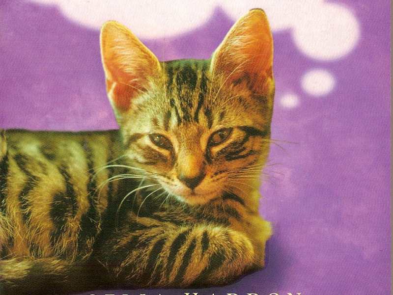 MyCat-1-tiny.jpg