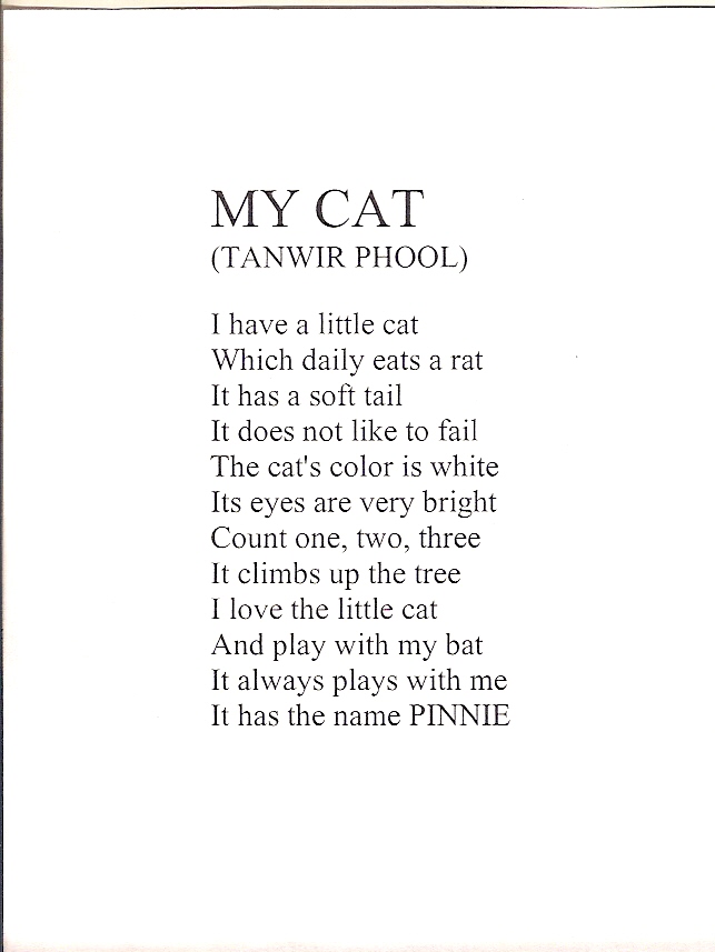 MyCat-3.jpg