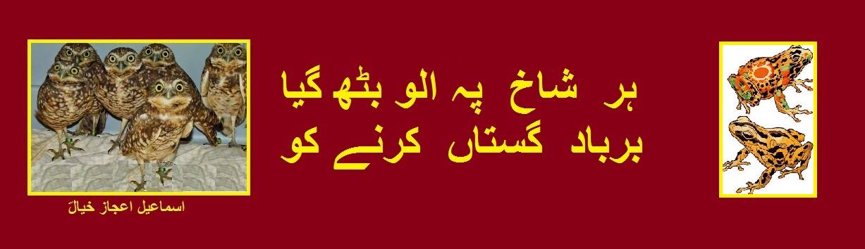 کالا سچ سیاہ ست.jpg