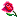 :rose1: